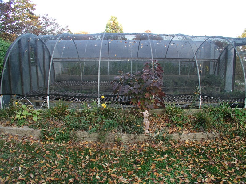 pa111140.jpg 183.4K