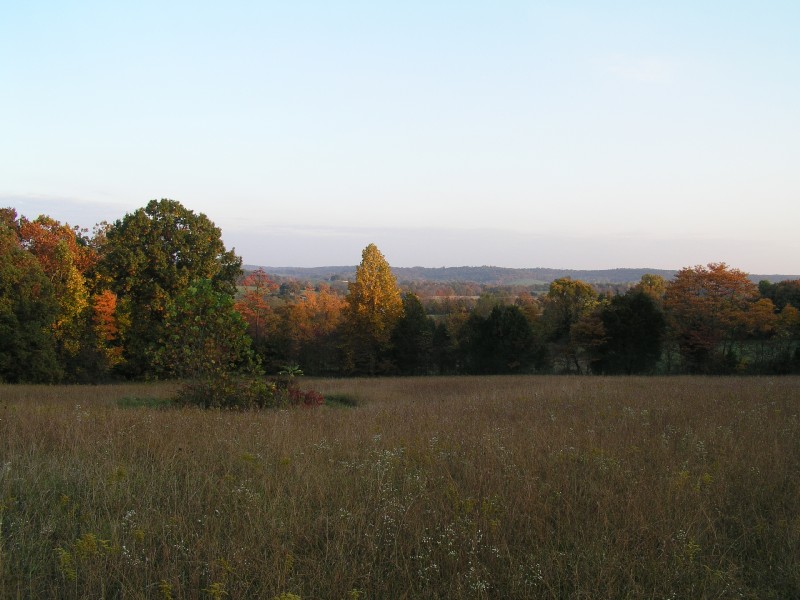 pa111147.jpg 97.2K