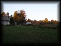 pa111108.jpg 87.8k bytes