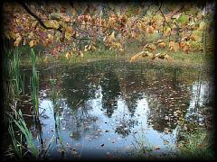pa111201.jpg 223.7k bytes