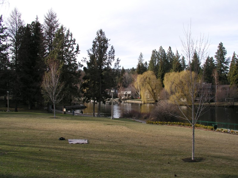p3150168.jpg 143.2K