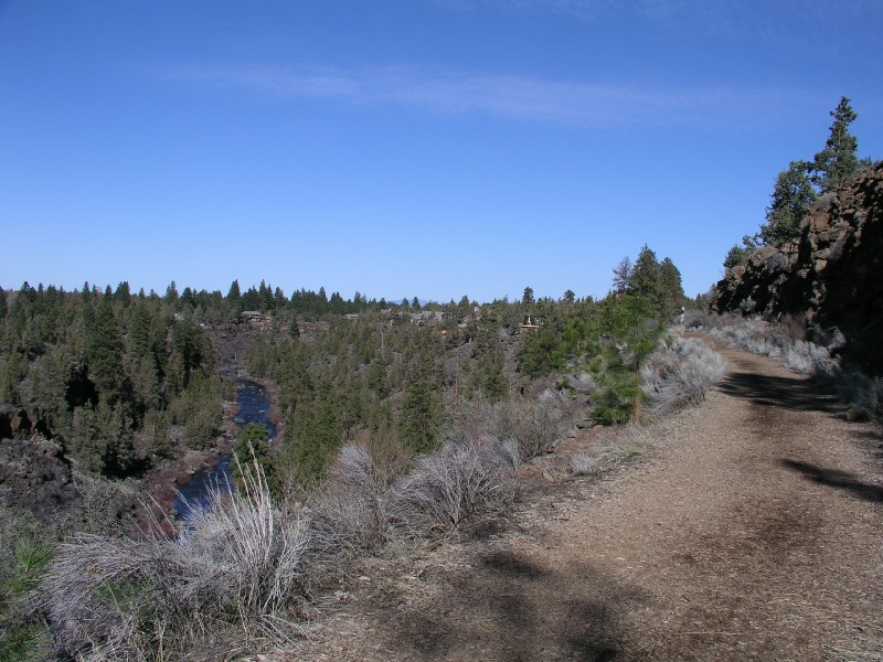 p3160208.jpg 134.9K