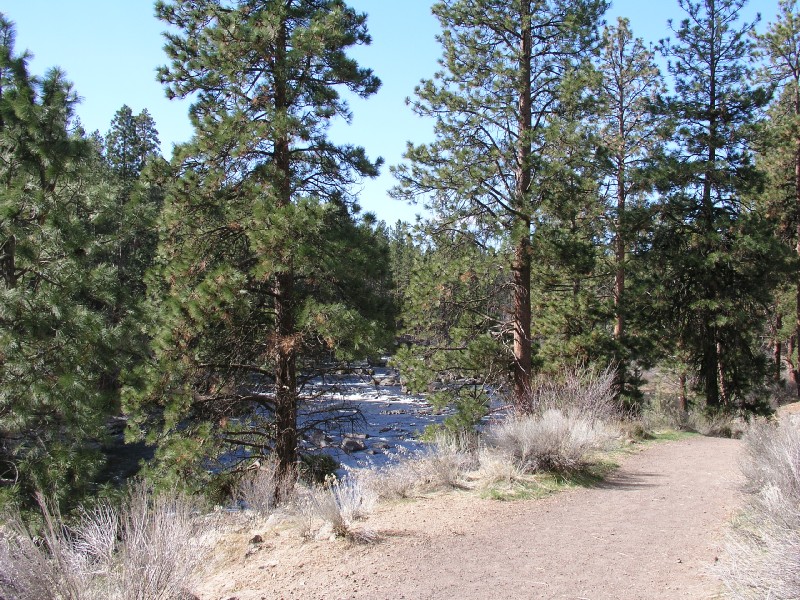p3190255.jpg 228.2K