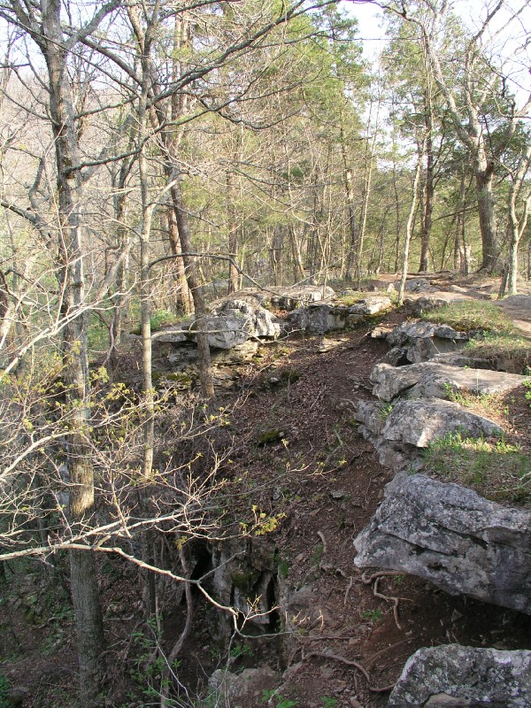 p4171212.jpg 241.7K