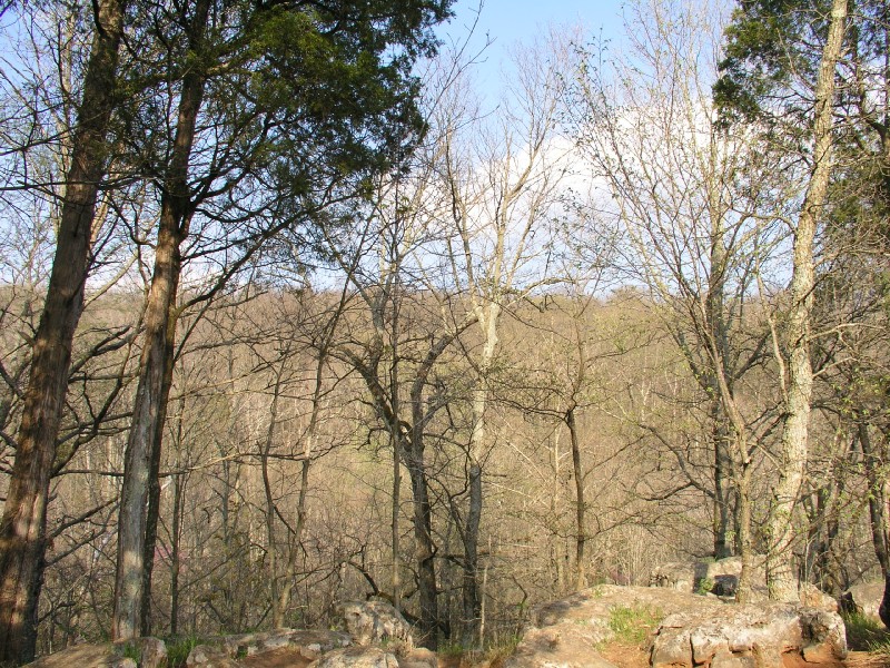 p4171215.jpg 246.3K