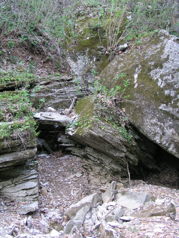 p4171255.jpg 232.6K