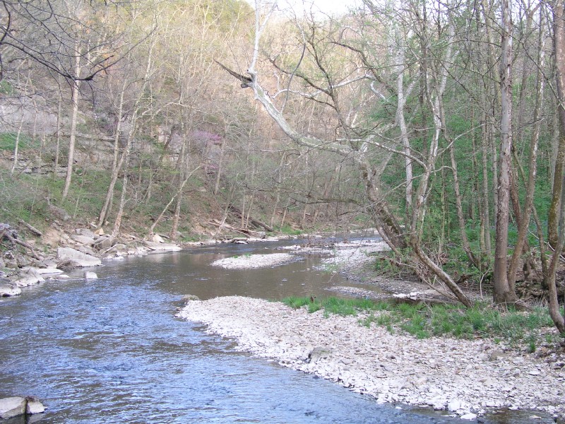 p4171263.jpg 211.9K