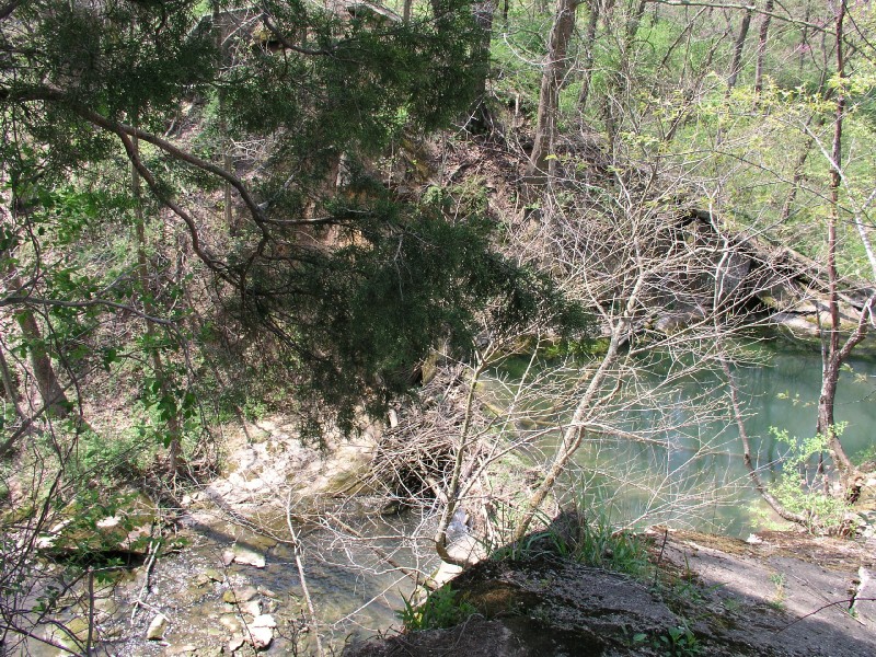 p4170970.jpg 251.8K