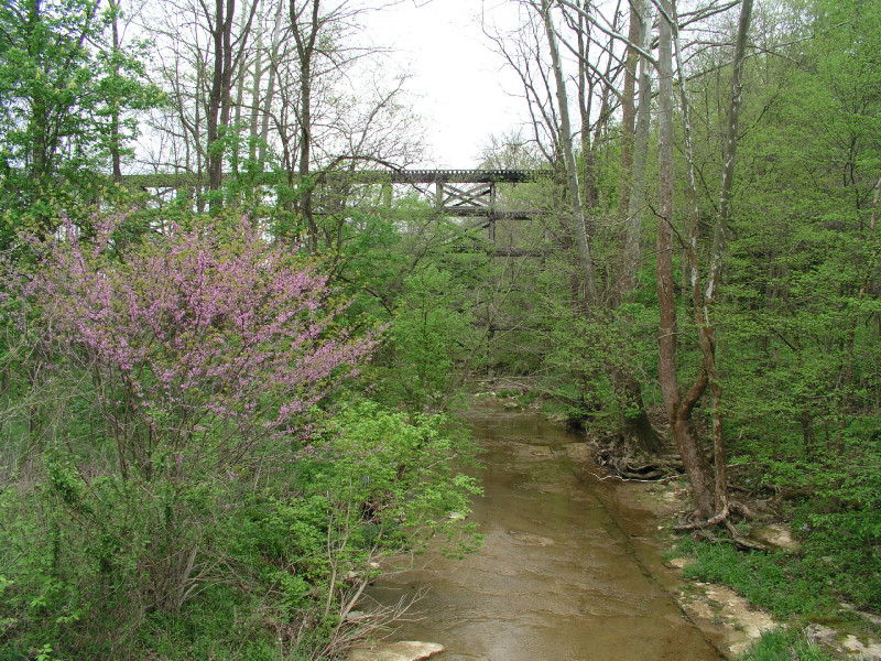 p4241526.jpg 310.2K