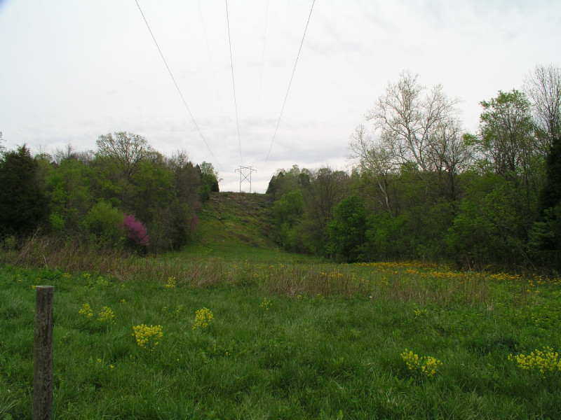 p4241531.jpg 173.6K
