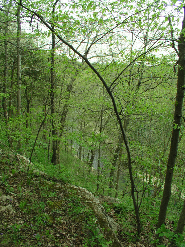 p4241550.jpg 352.4K