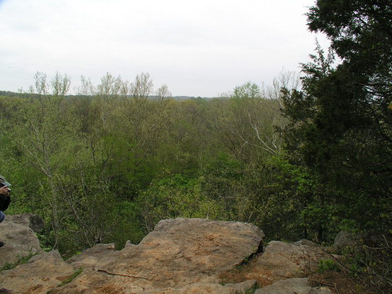 p4241573.jpg 202.4K