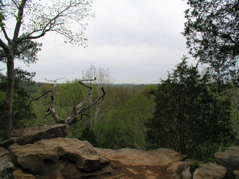 p4241579.jpg 214.7K