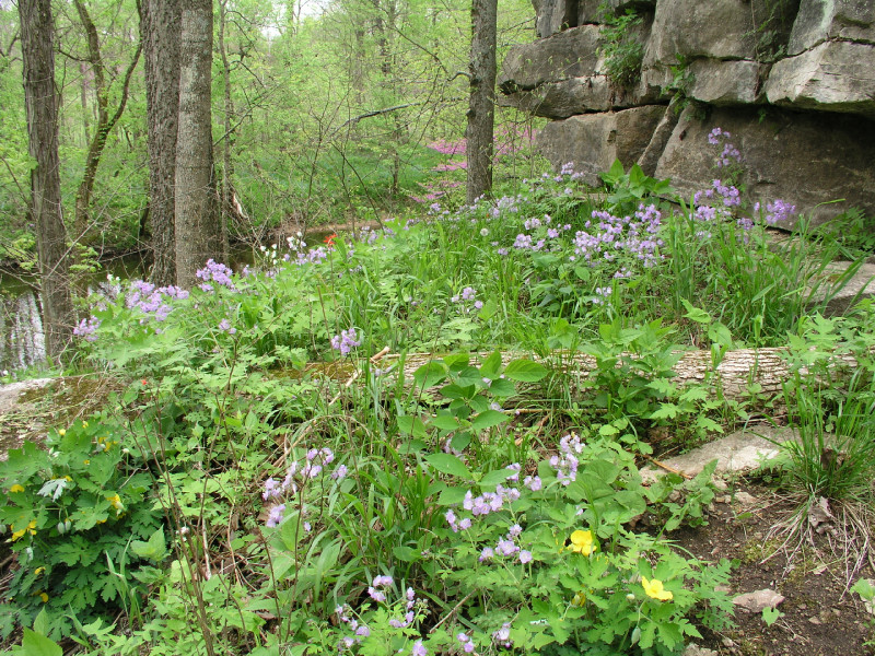 p4241619.jpg 340.3K