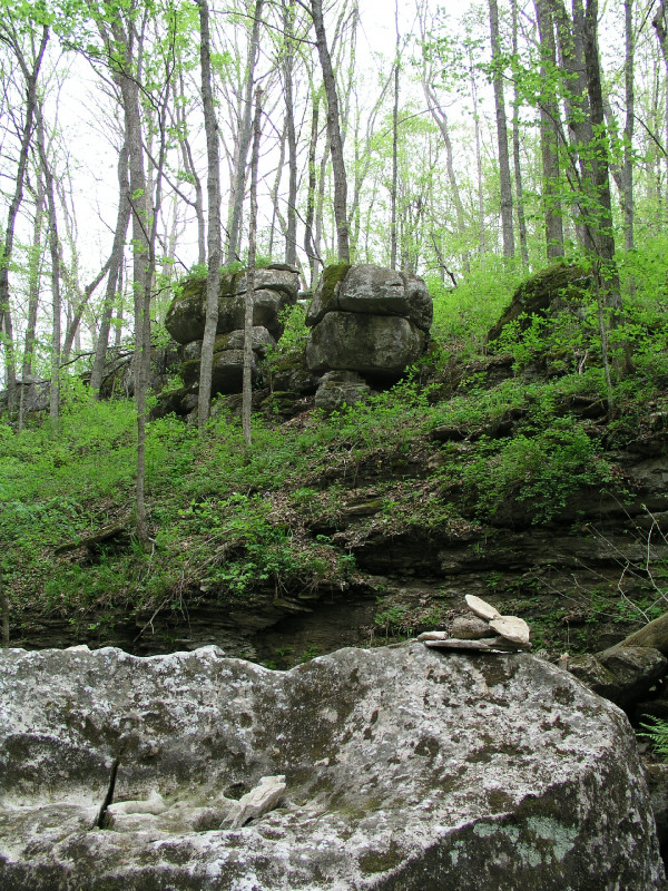 p4241646.jpg 326.1K