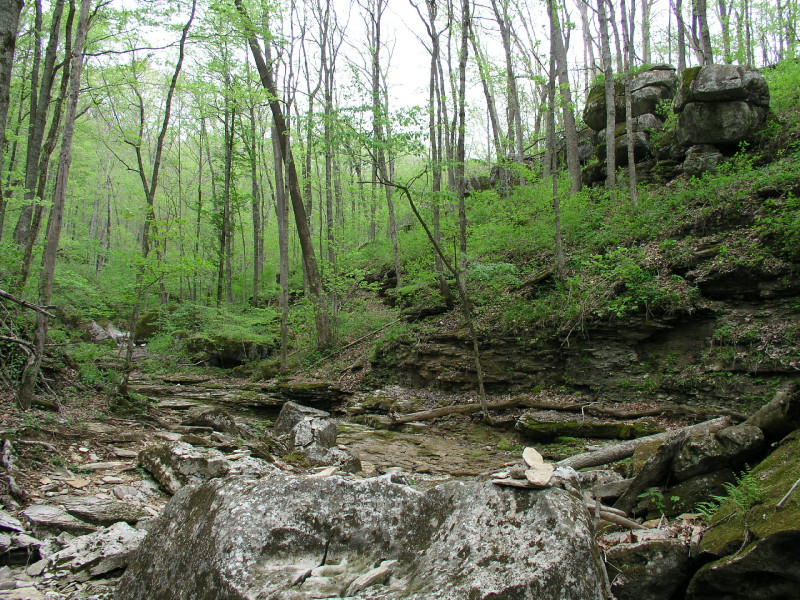 p4241648.jpg 321.4K