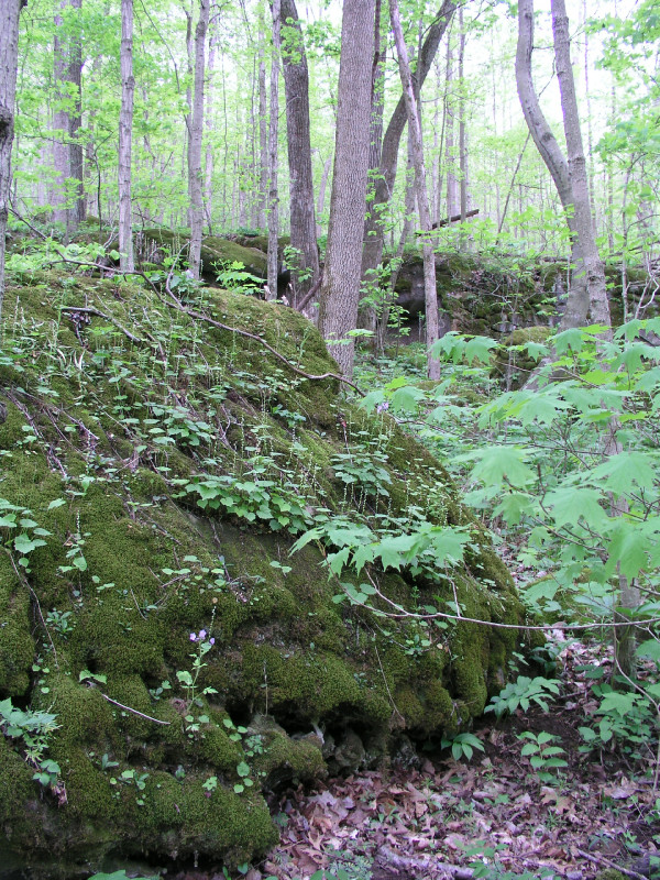 p4241652.jpg 328.8K