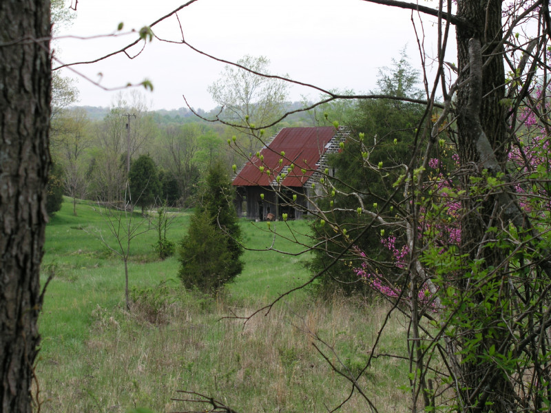 p4241664.jpg 218.2K