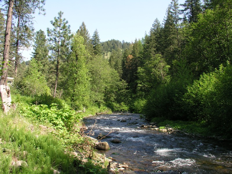 p5143326.jpg 213.1K