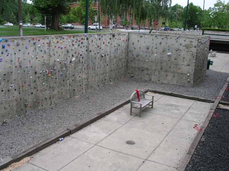 p5153424.jpg 166.2K