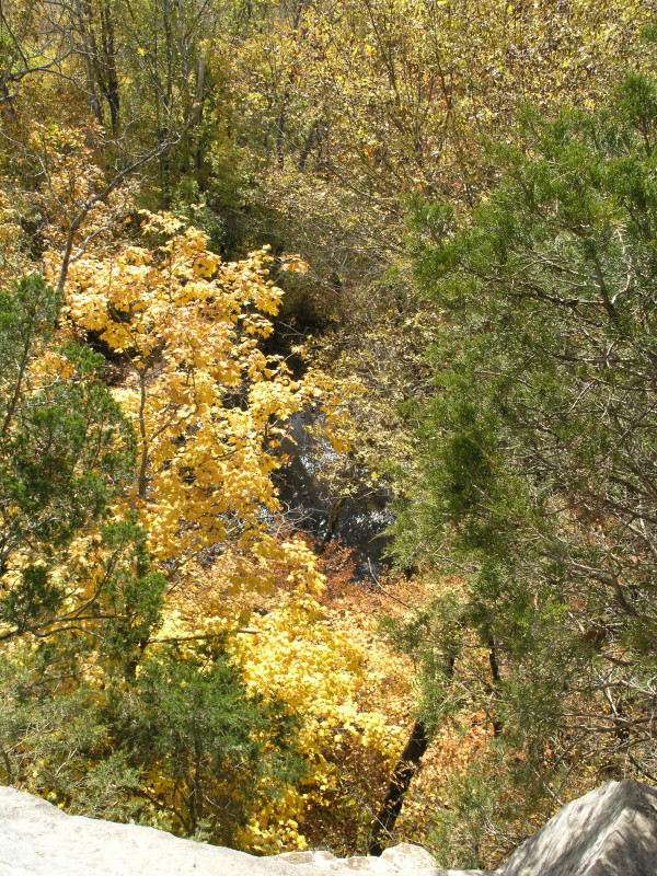 pa100476.jpg 385.0K