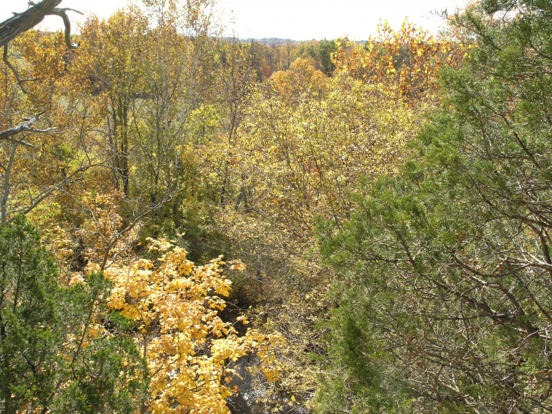 pa100477.jpg 367.9K