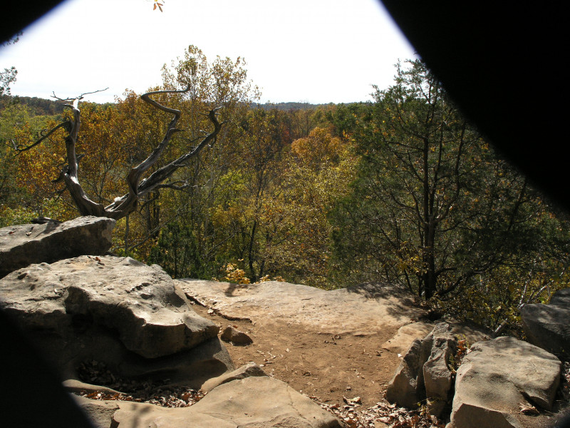 pa100478.jpg 224.3K