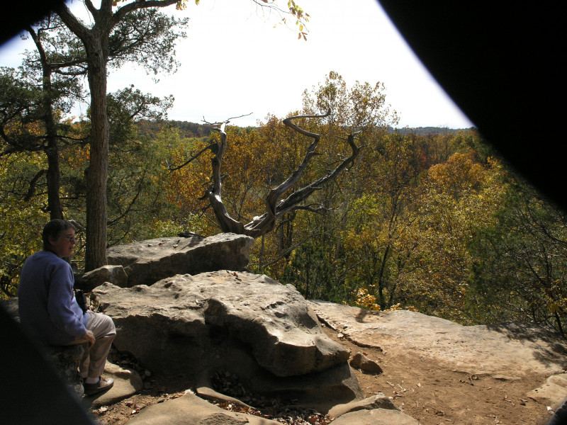 pa100479.jpg 229.9K