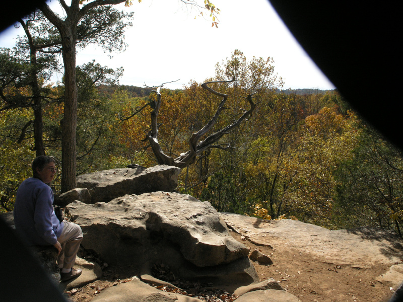 pa100480.jpg 335.2K