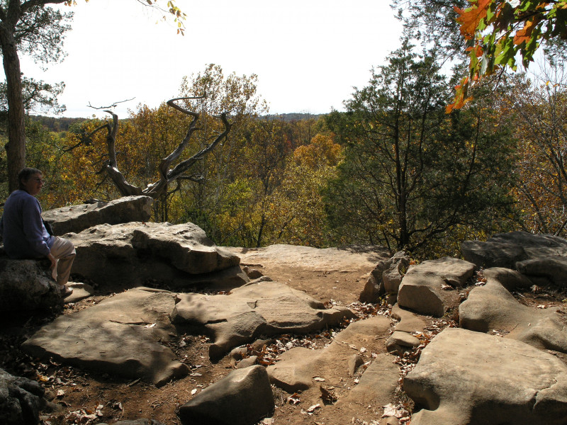 pa100481.jpg 254.1K
