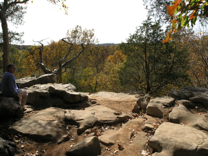 pa100482.jpg 369.5K