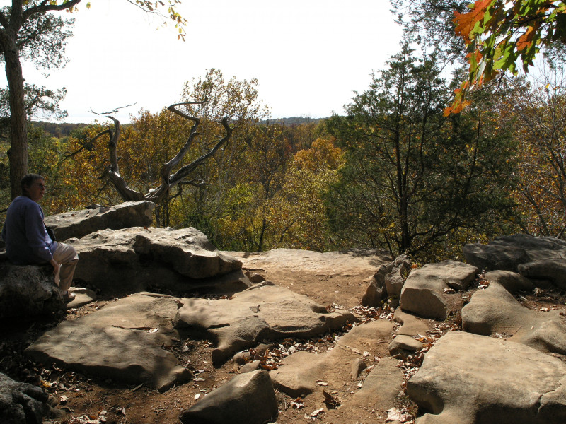 pa100483.jpg 253.1K