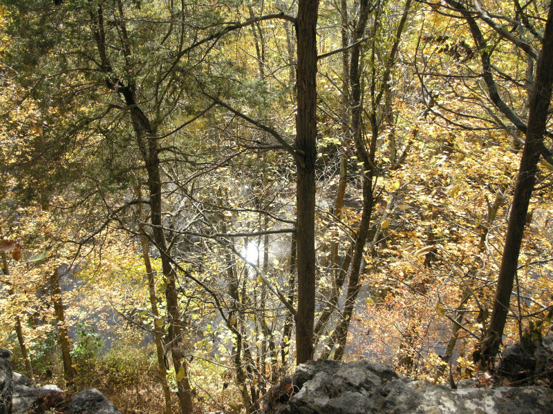 pa100484.jpg 377.1K