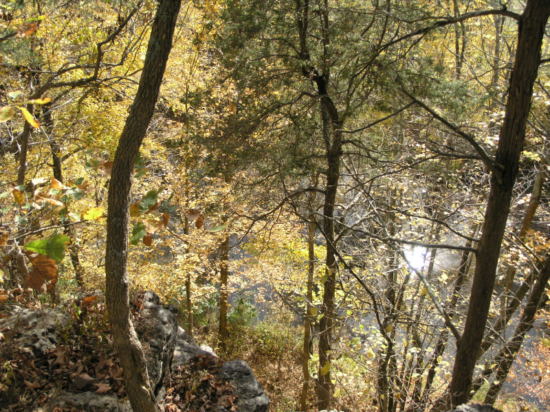 pa100485.jpg 527.7K