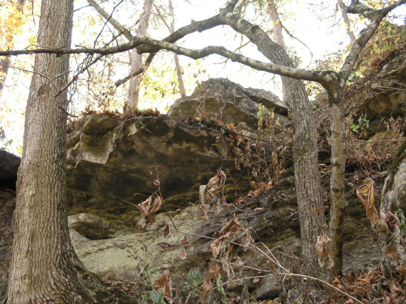 pa100488.jpg 367.0K
