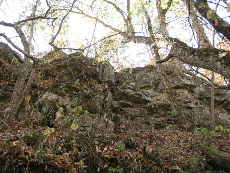 pa100489.jpg 432.4K