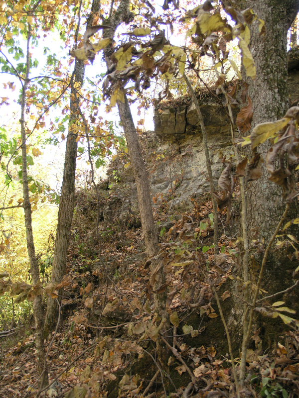 pa100490.jpg 452.8K