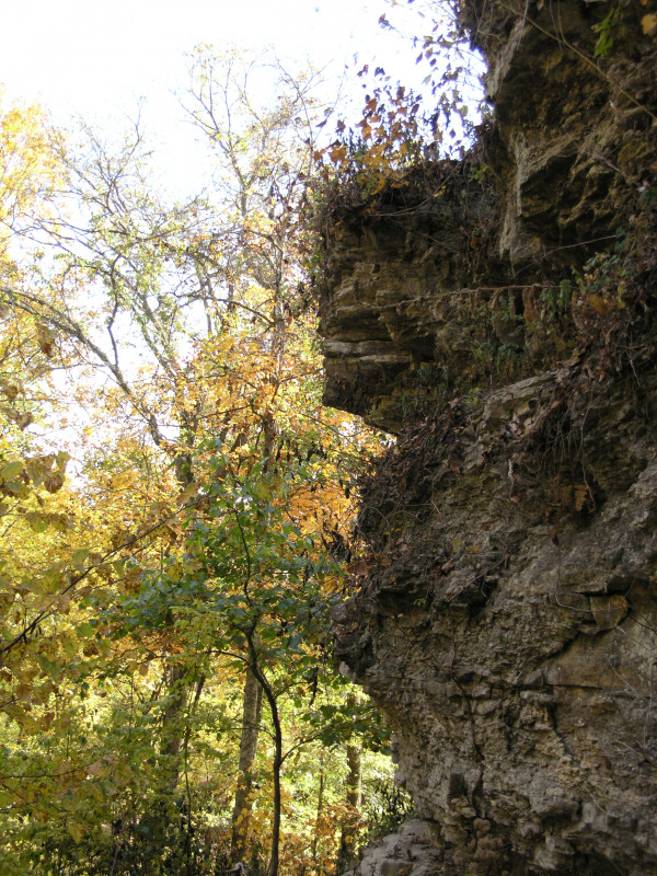 pa100494.jpg 299.6K