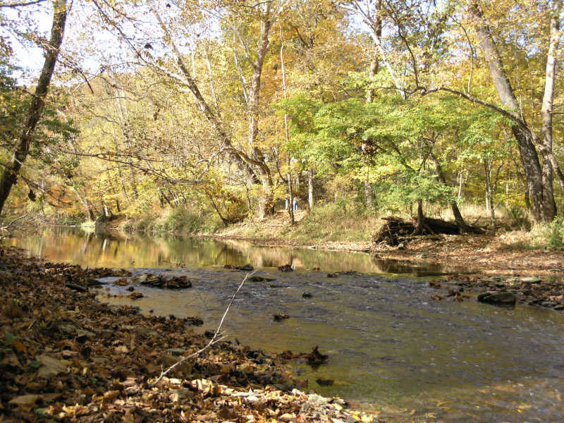 pa100495.jpg 322.9K