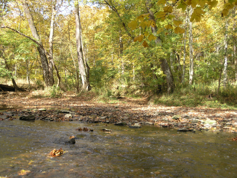 pa100496.jpg 311.8K