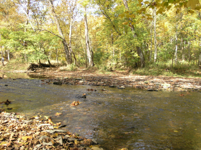 pa100497.jpg 315.0K