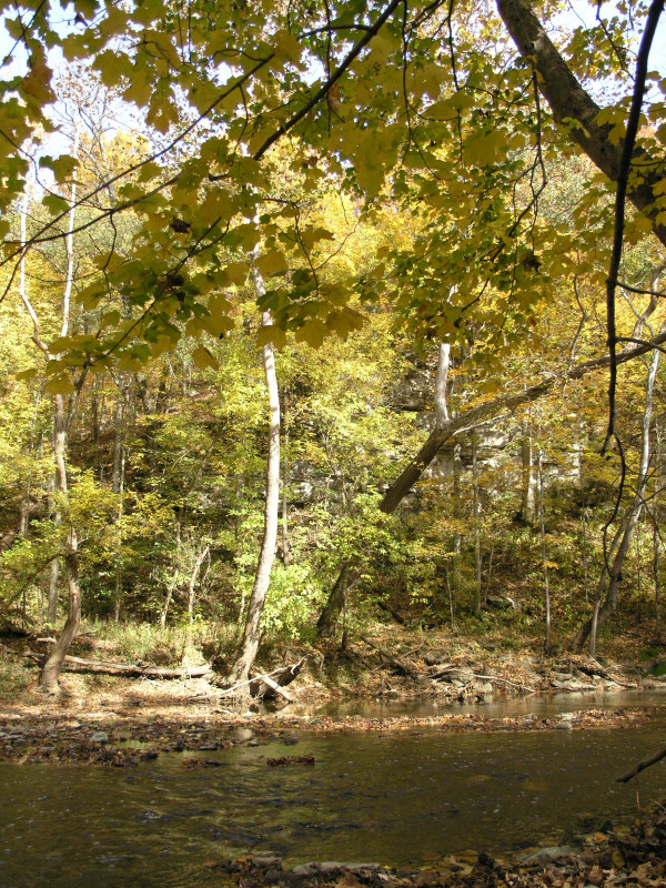 pa100499.jpg 342.3K