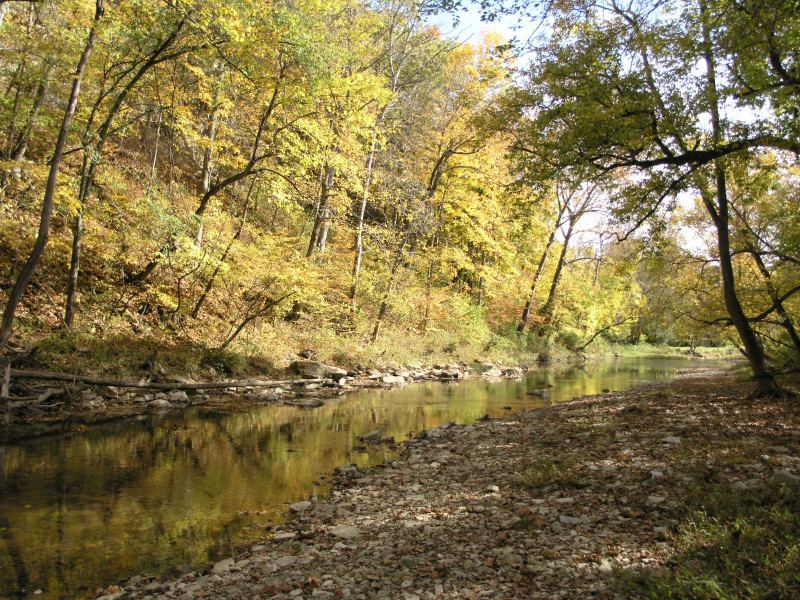 pa100502.jpg 336.3K