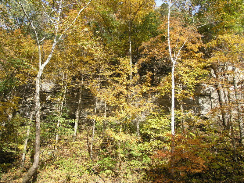 pa100503.jpg 396.8K