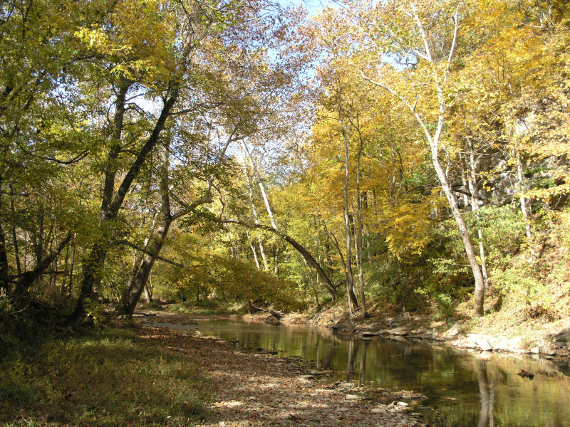 pa100504.jpg 356.8K