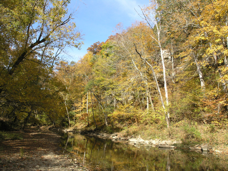 pa100505.jpg 338.6K