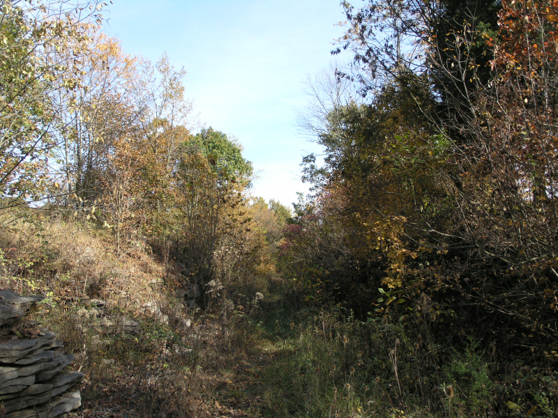 pa100508.jpg 429.0K