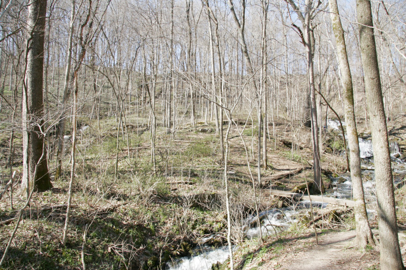 _mg_4684.jpg 294.1K
