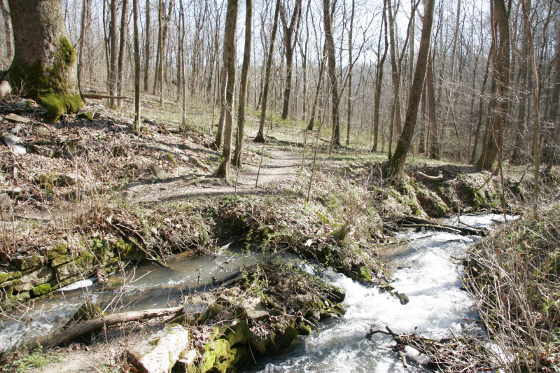 _mg_4689.jpg 300.0K
