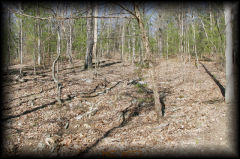 _mg_4653.jpg 34.2K